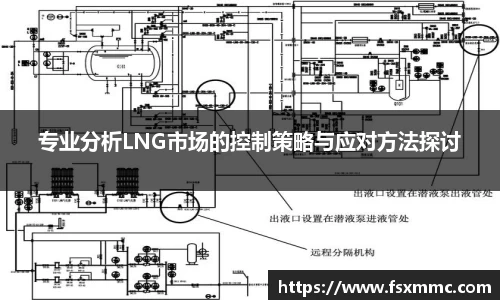 专业分析LNG市场的控制策略与应对方法探讨